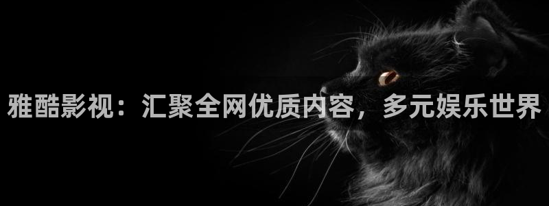 4k影院tv版下载：雅酷影视：汇聚全网优质内容，多元娱乐世界