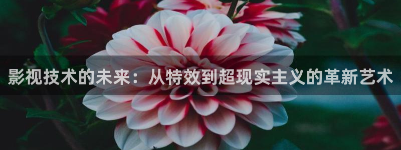 4k影院免费看：影视技术的未来：从特效到超现实主义的革新艺术