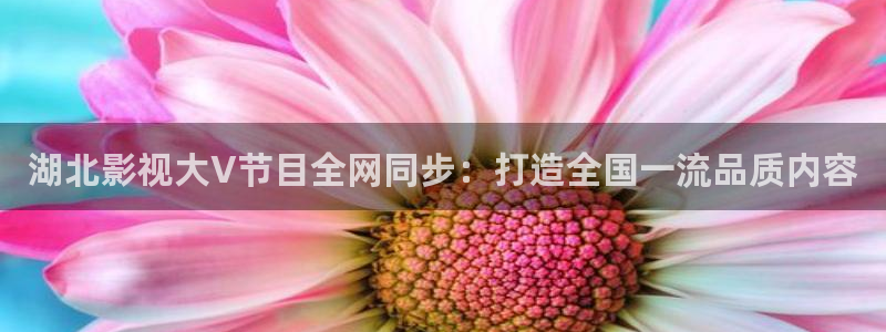4k影院max：湖北影视大V节目全网同步：打造全国一流品质内容
