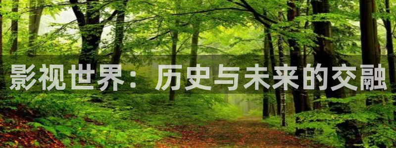 高清4k影院：影视世界：历史与未来的交融