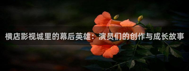 4k影院美剧：横店影视城里的幕后英雄：演员们的创作与成长故事