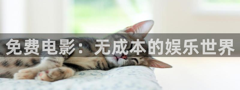 4k影视播放器：免费电影：无成本的娱乐世界