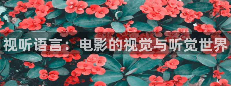 4k影院电视软件：视听语言：电影的视觉与听觉世界