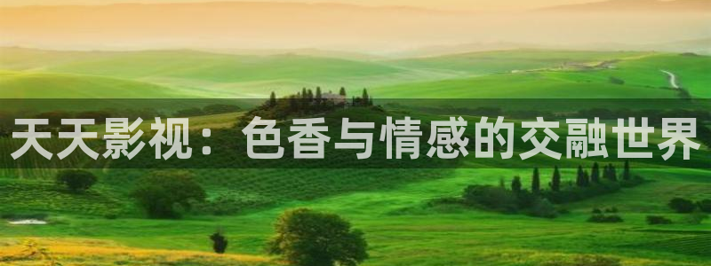 北京4k影院在哪里：天天影视：色香与情感的交融世界